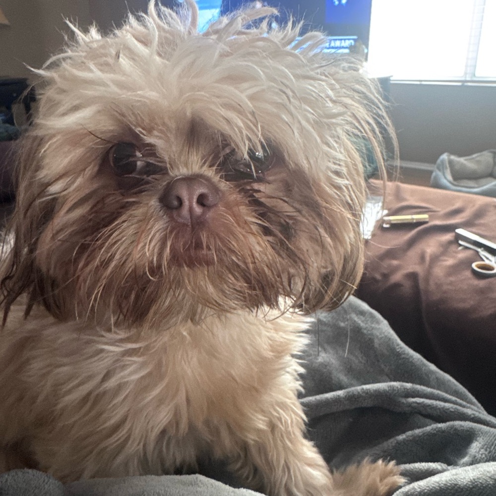 Meet your Posher, Mag